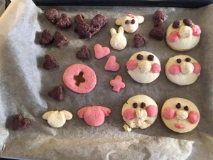 26000907_1410413512401649_117254981960145846_n