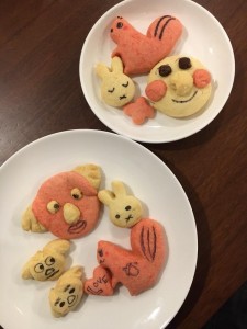 26055999_1414228822020118_3403345675561758879_n