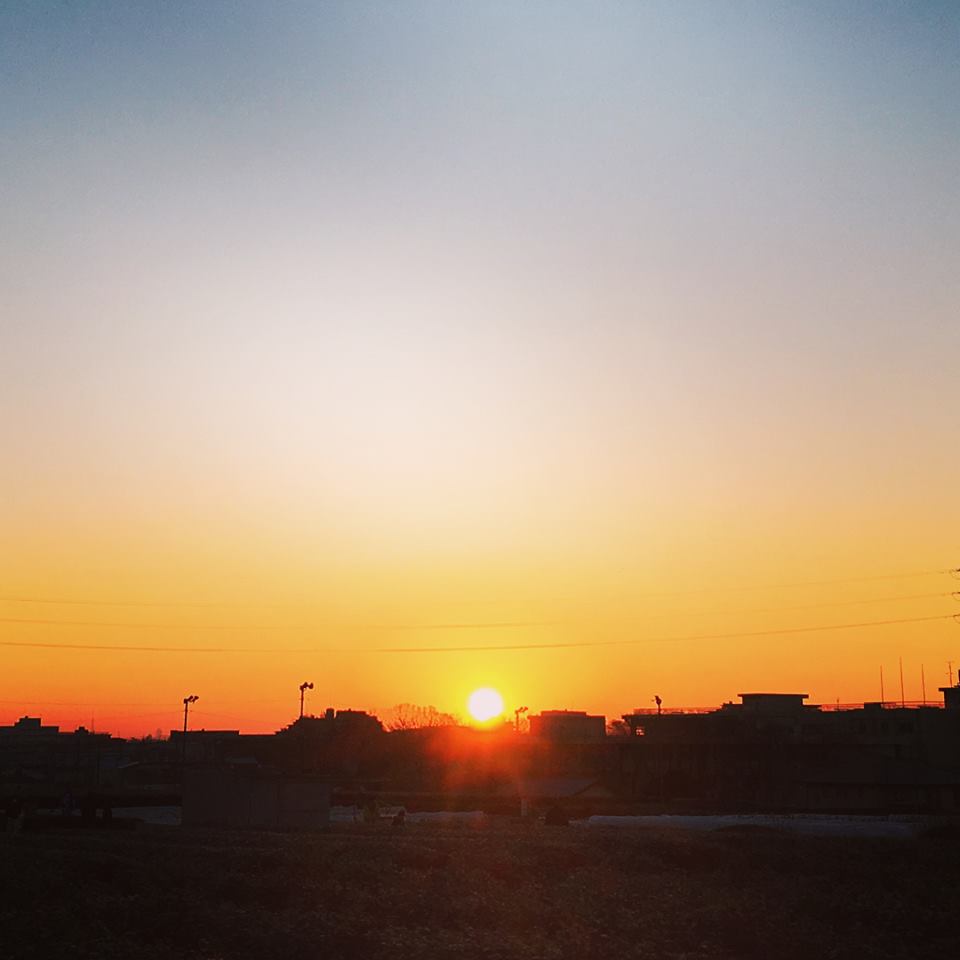 26168309_1909525535724423_225250217944072791_n