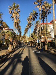 26993330_1441994342576899_4351700315460652444_n