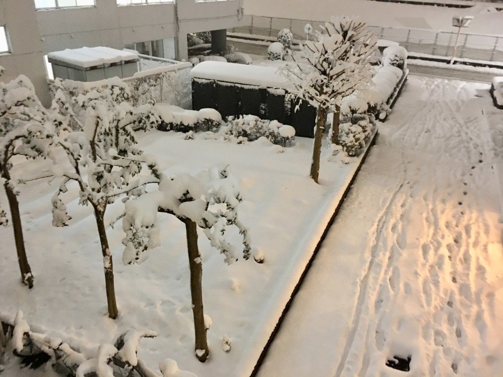 ファイル 2018-01-26 12 17 57