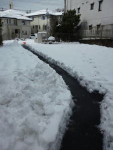 雪かき①