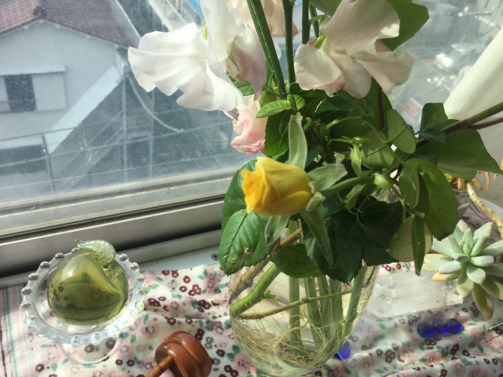 A8EF947C-1B90-4E59-A37F-006BD718D4A8