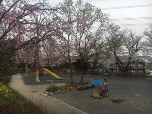 19702042_1500794916696841_2632890888726087945_n