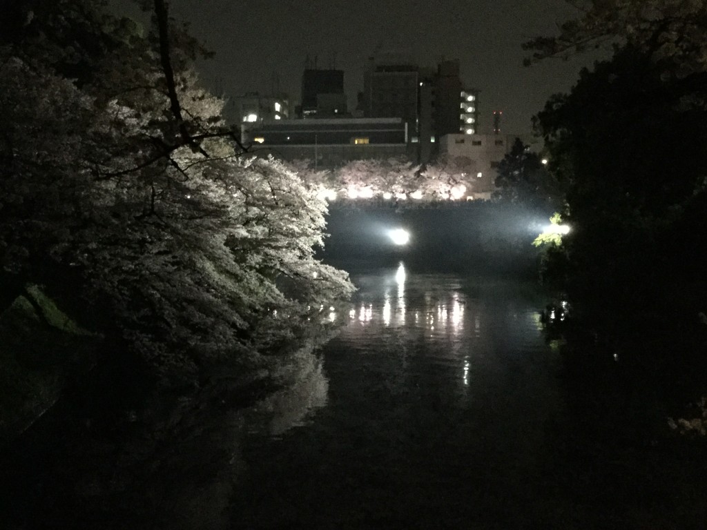 20180329_120305893_iOS