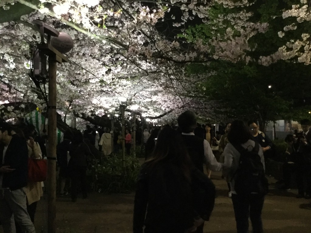 20180329_121405592_iOS