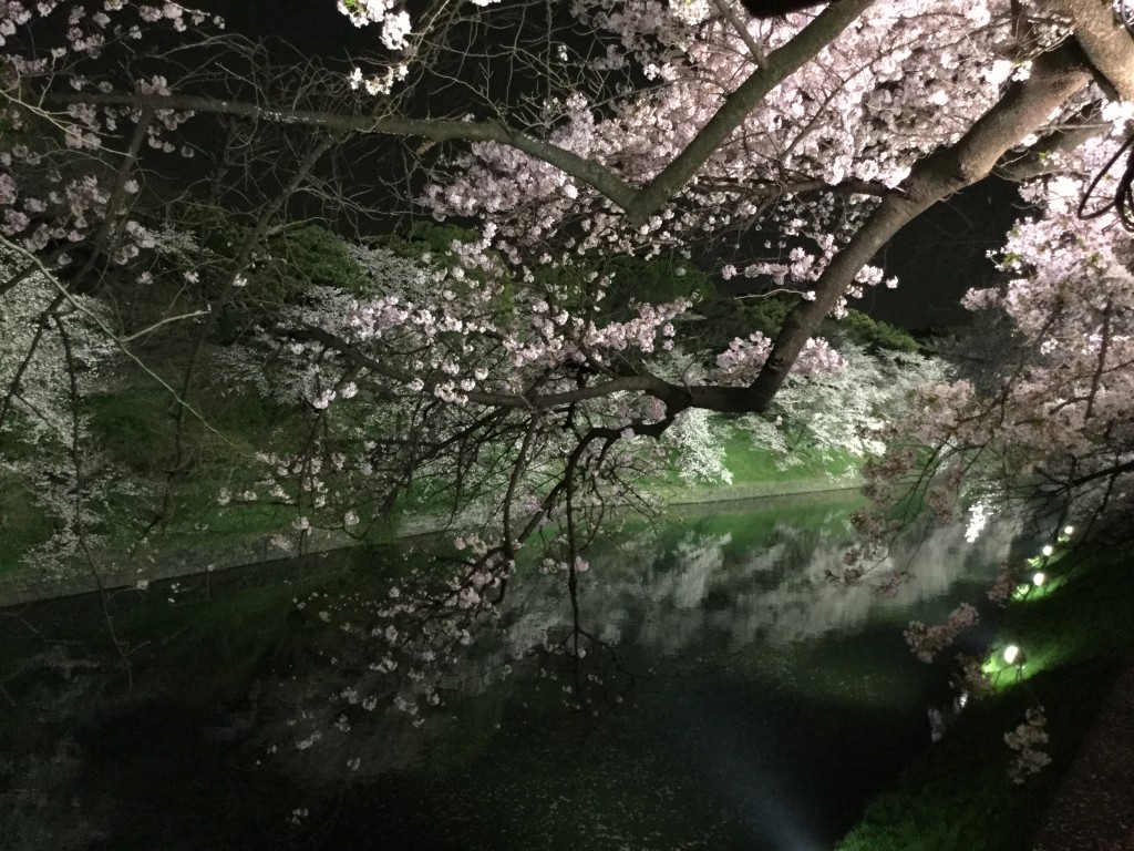 20180329_121455775_iOS