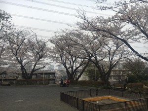 29597226_1500794926696840_5917702203936586441_n