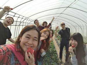 いちご狩り④