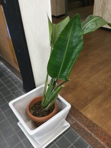 20180426_232648589_iOS 1