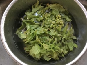 20180429_062623902_iOS