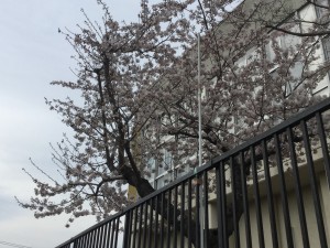 20180430_052304075_iOS