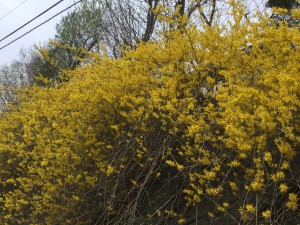 20180430_052559124_iOS