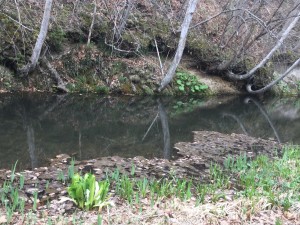 20180430_053957085_iOS