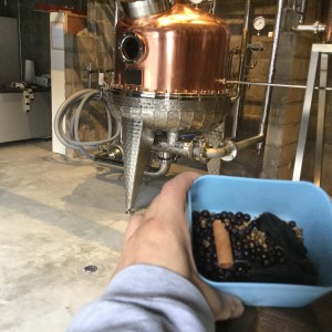 20180430_054354339_iOS