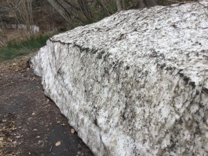 20180430_055704949_iOS