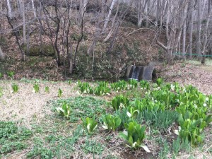 20180430_060300367_iOS