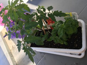 64D1E921-8AB6-4992-8DF7-339B398AF659