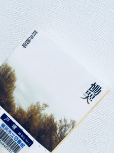 どんどんページをめくりたくなる!