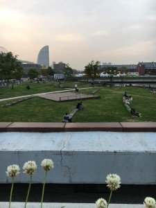 13076540_894715463971459_4644642281508294806_n