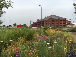 13091913_894715407304798_5678695026955903907_n