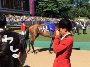 20180520_060517863_iOS