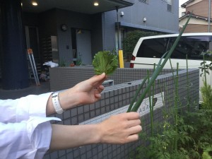 20180529_093627315_iOS