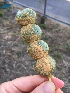 33876455_1558815794228086_7864047022616084480_n