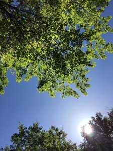 5DC22D88-5584-4BF0-B33D-7053B92AB4B8