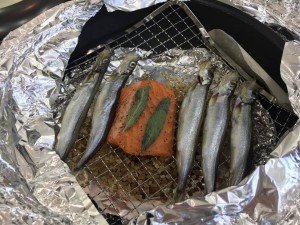 36338996_1595123567263975_6335713288638169088_n