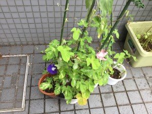 20180710_233743942_iOS