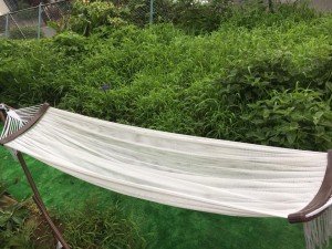 39606147_1678844602225204_3132578918968590336_n