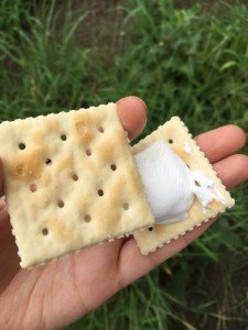 39613674_1678844365558561_7170246114518499328_n