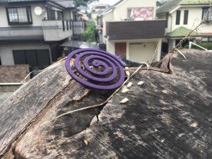 39735826_1678844905558507_1216826911414550528_n