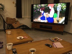 40318581_1689191561190508_1440745284794580992_n