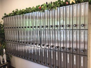 40379670_1691465534296444_3299700692070957056_n