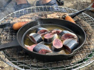 E31015C7-5FEE-48EE-9365-DB51D68C2CA7