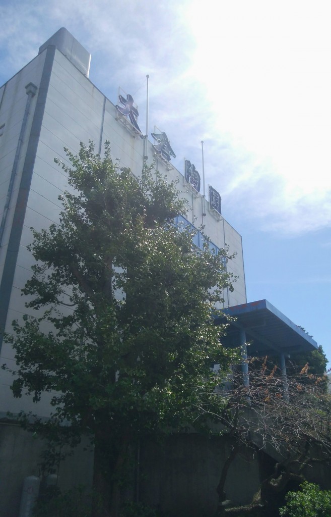 IMG_20180908_104512 (1)