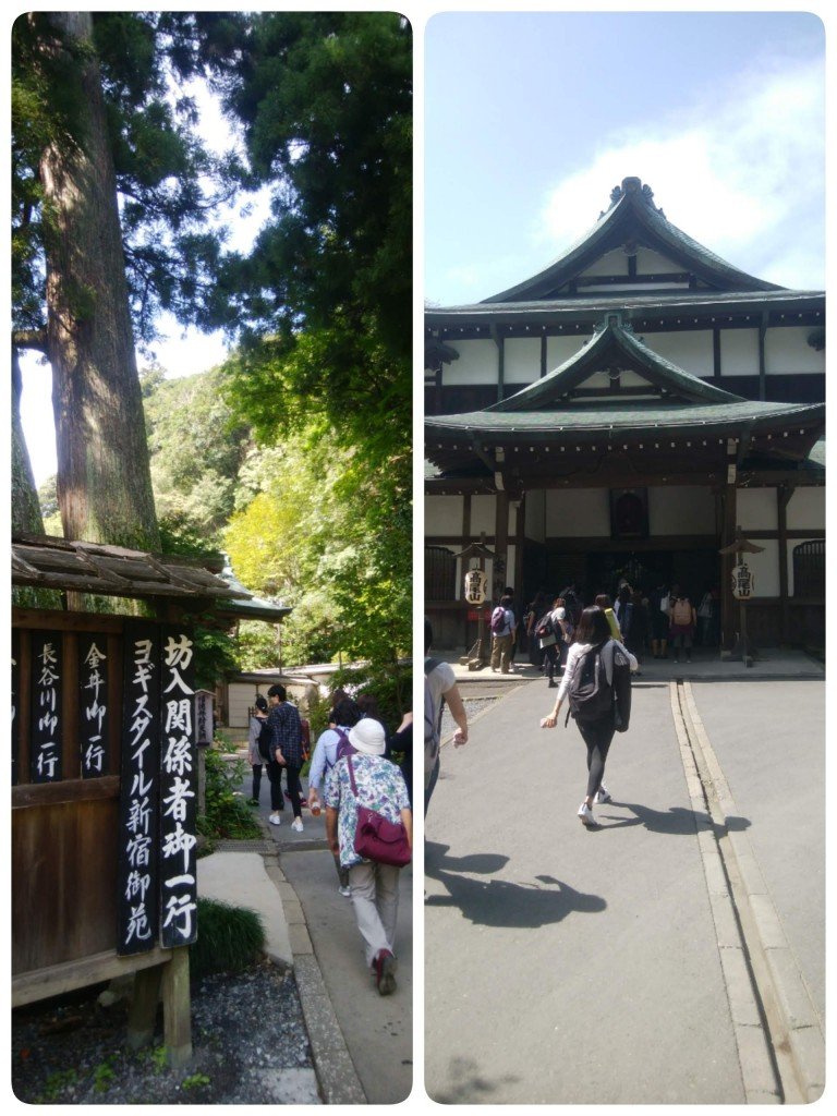 18-10-27-16-43-38-054_deco