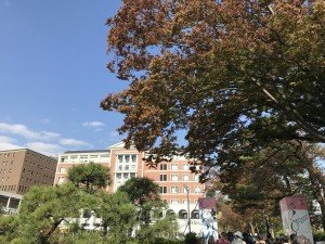 ドラマの学校みたい!