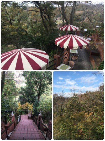 46868919_1802371953205801_1233008290896543744_n