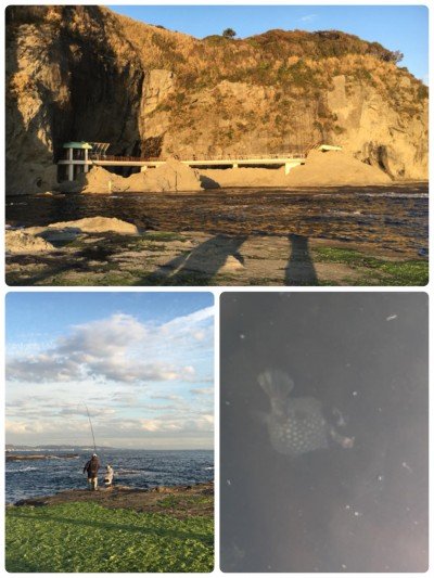 46958039_1805207596255570_2126535967215976448_o