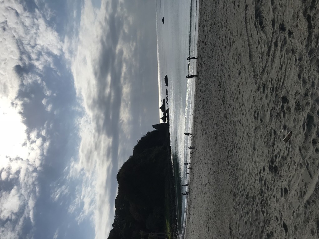 60009CD3-2FDA-45E7-84FB-CC7C6B5D7BA9