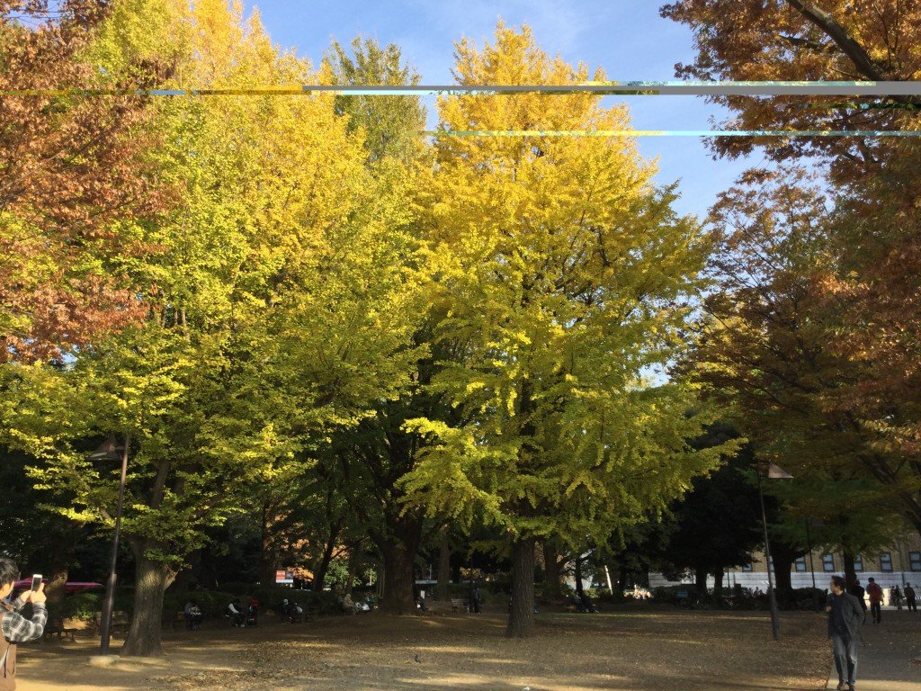 C7F3BAB6-5160-4E99-A3D7-DE83D4238C20