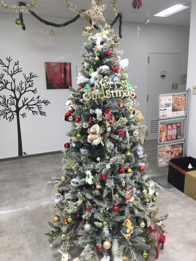 47129580_1807289502714046_3849389478699335680_o