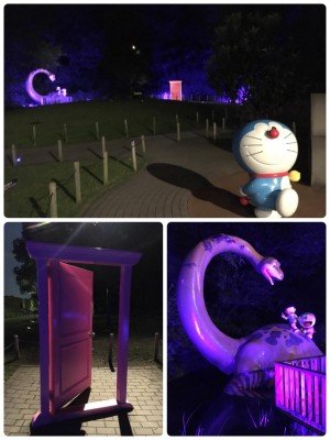 49135345_1848243945285268_1245474656811483136_o