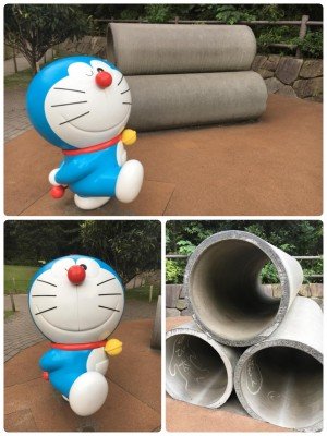 49249091_1848243855285277_2399144628189134848_o