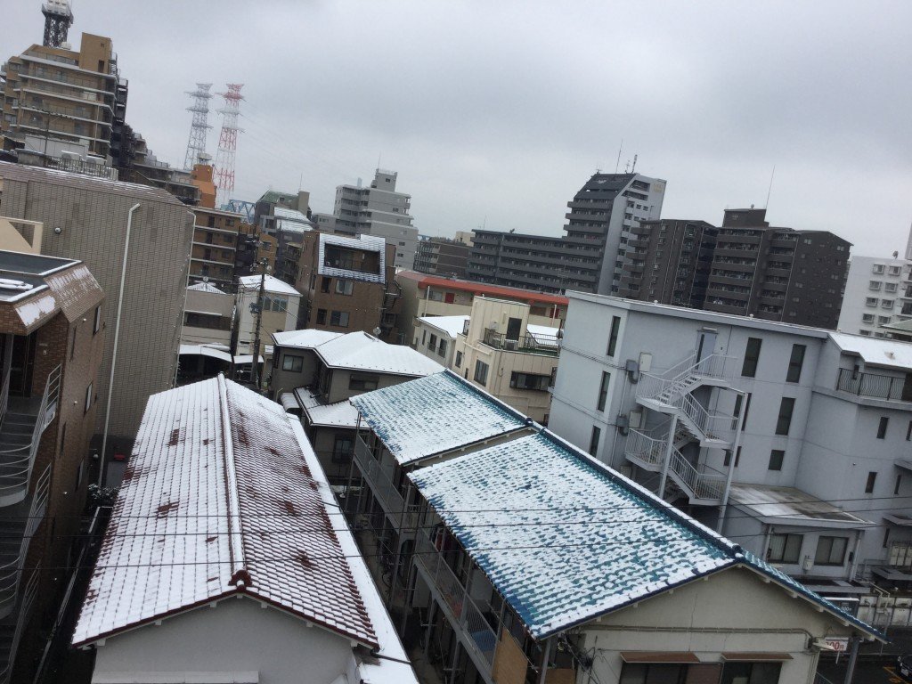 20190209_025144603_iOS