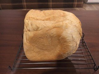 53046754_1931349263641402_2239189613610532864_o