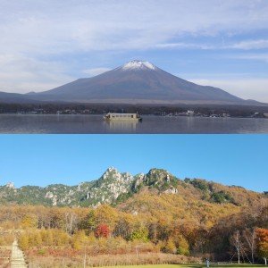 ホントに美しい